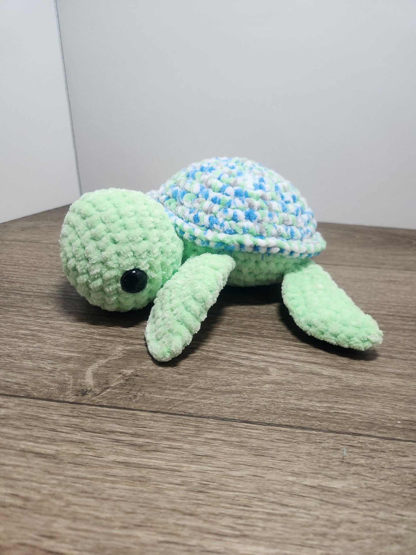 Caribbean Sea Turtle