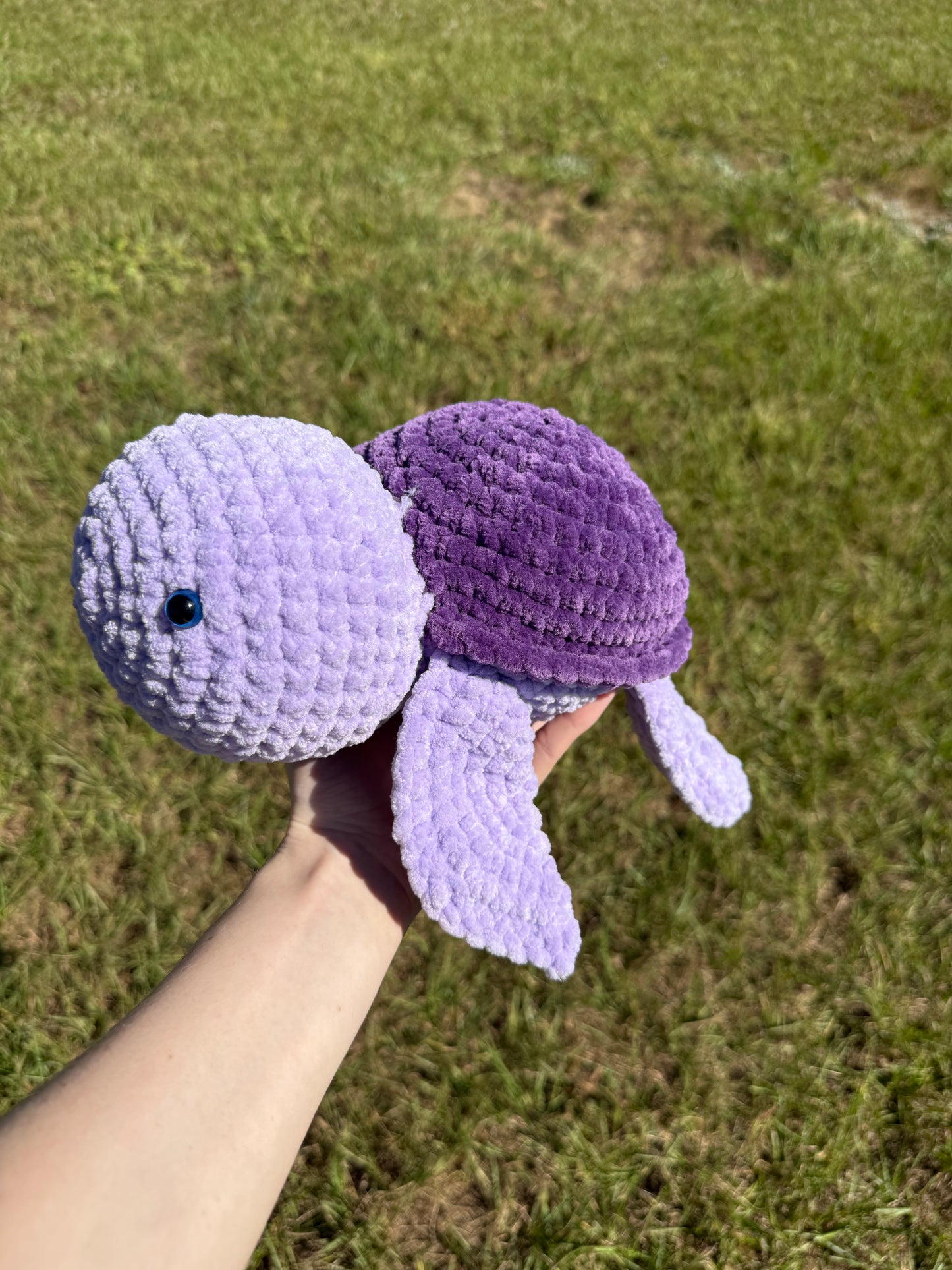 Purple Turtle