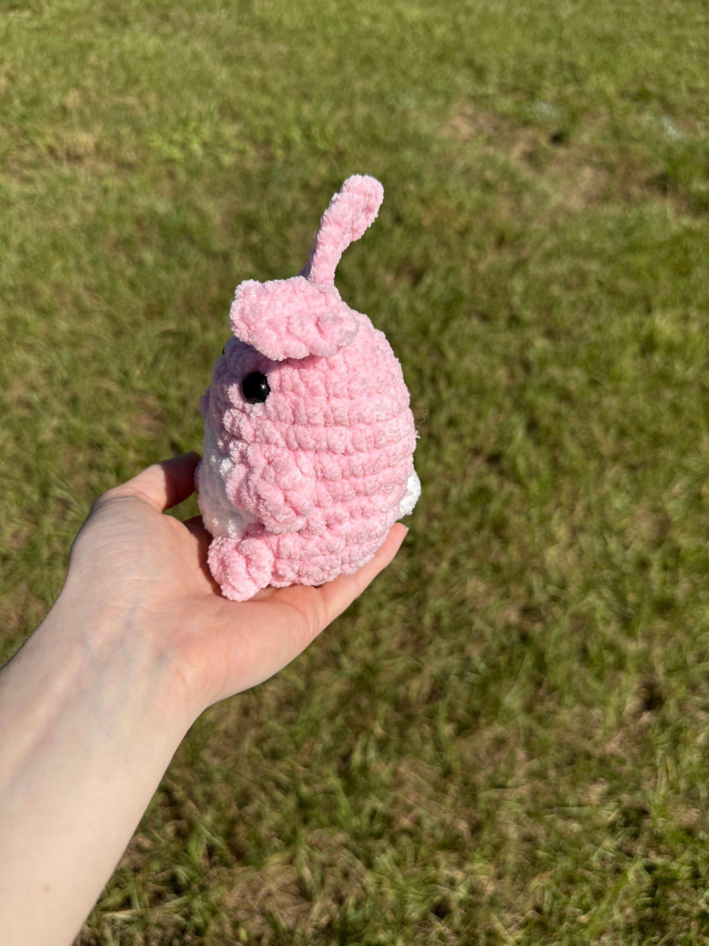 Mini bunny