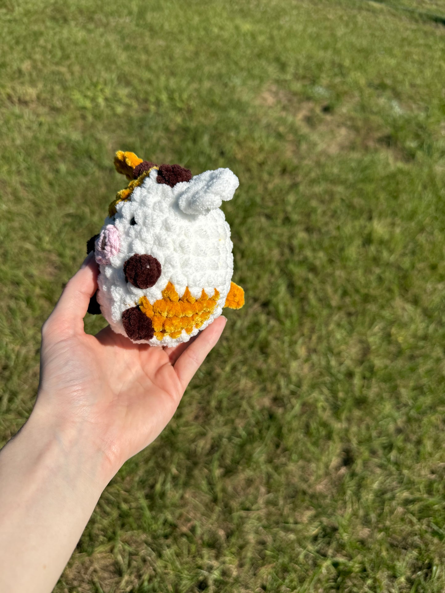 Mini cow