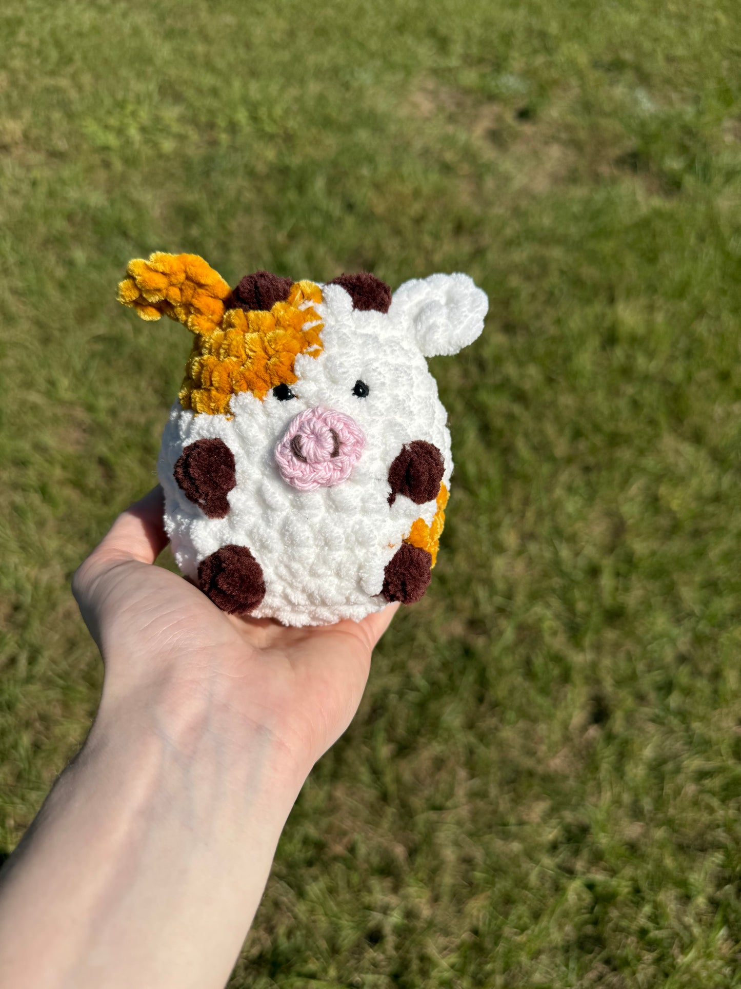 Mini cow