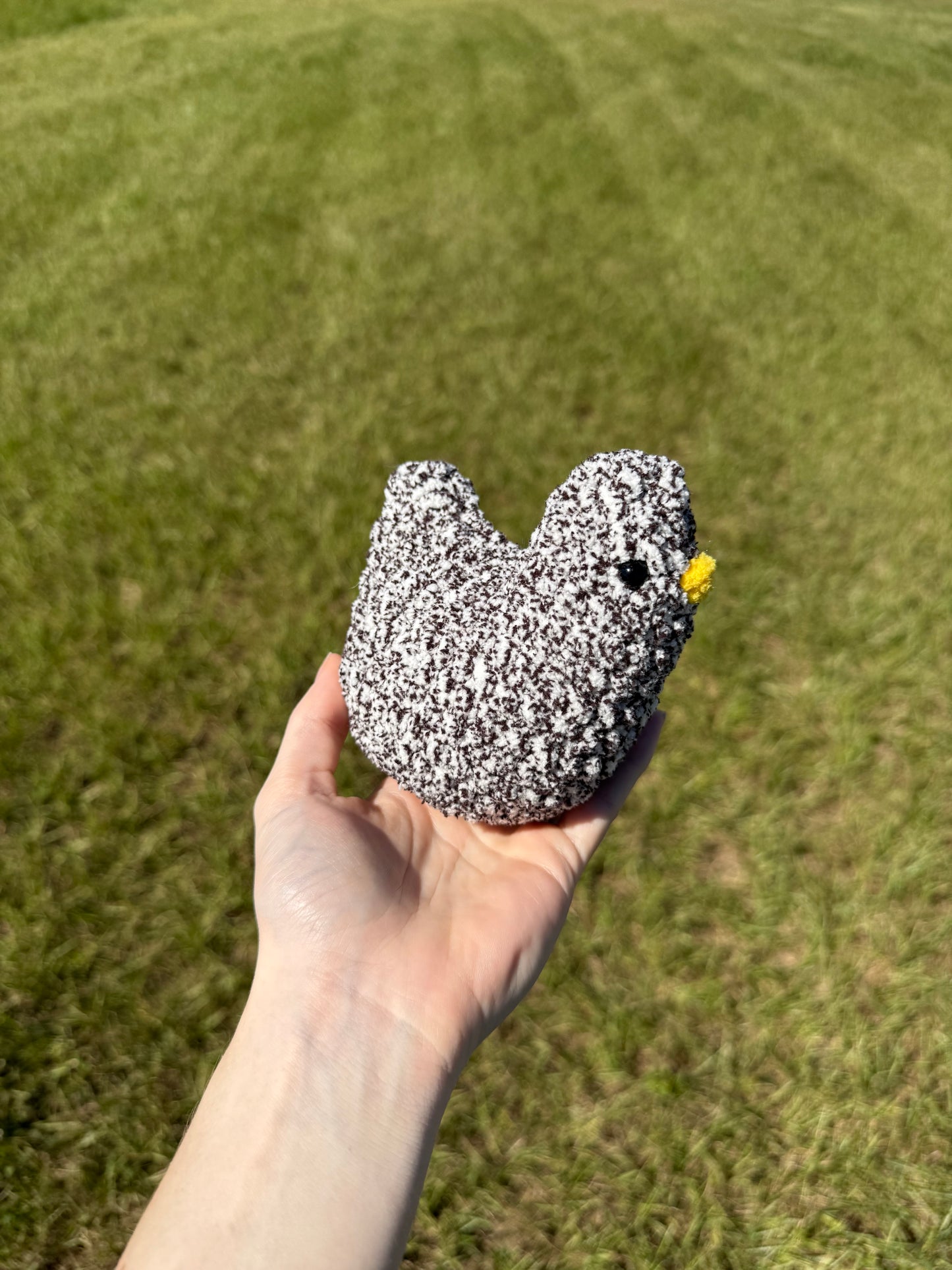 Chicken