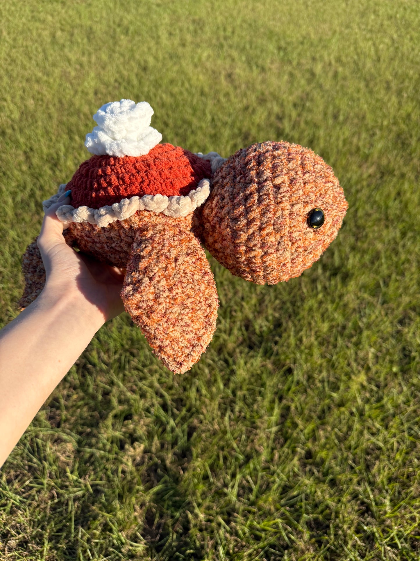 Pumpkin pie turtle