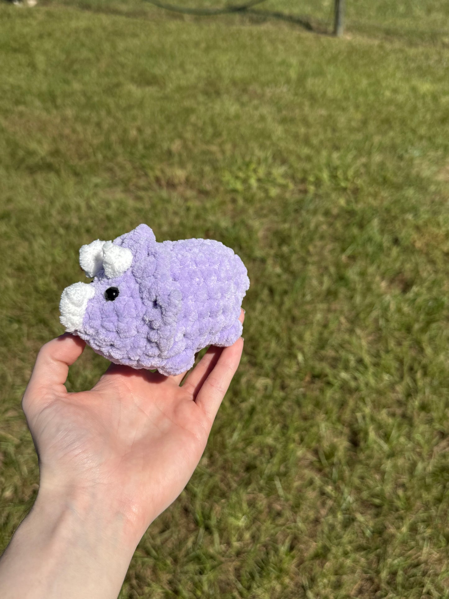 Mini rhinoceros