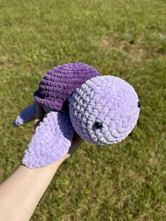 Purple Turtle