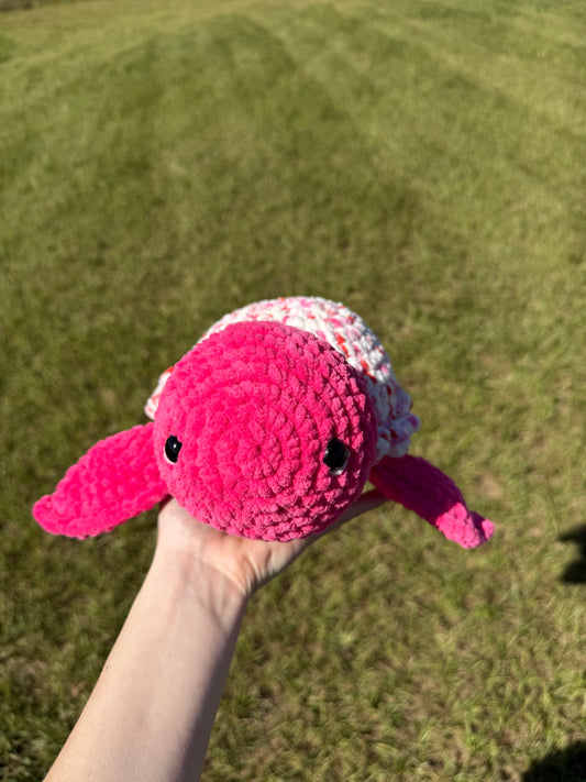 Pink Confetti Turtle