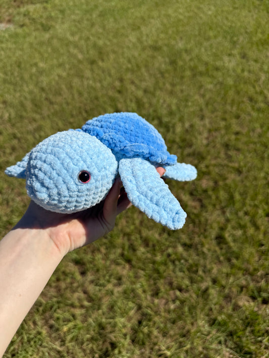 Blue Turtle